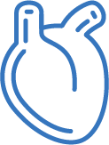 Cardiology